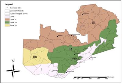 Abundance, diversity and richness of natural enemies of the fall armyworm, Spodoptera frugiperda (J.E. Smith) (Lepidoptera: Noctuidae), in Zambia